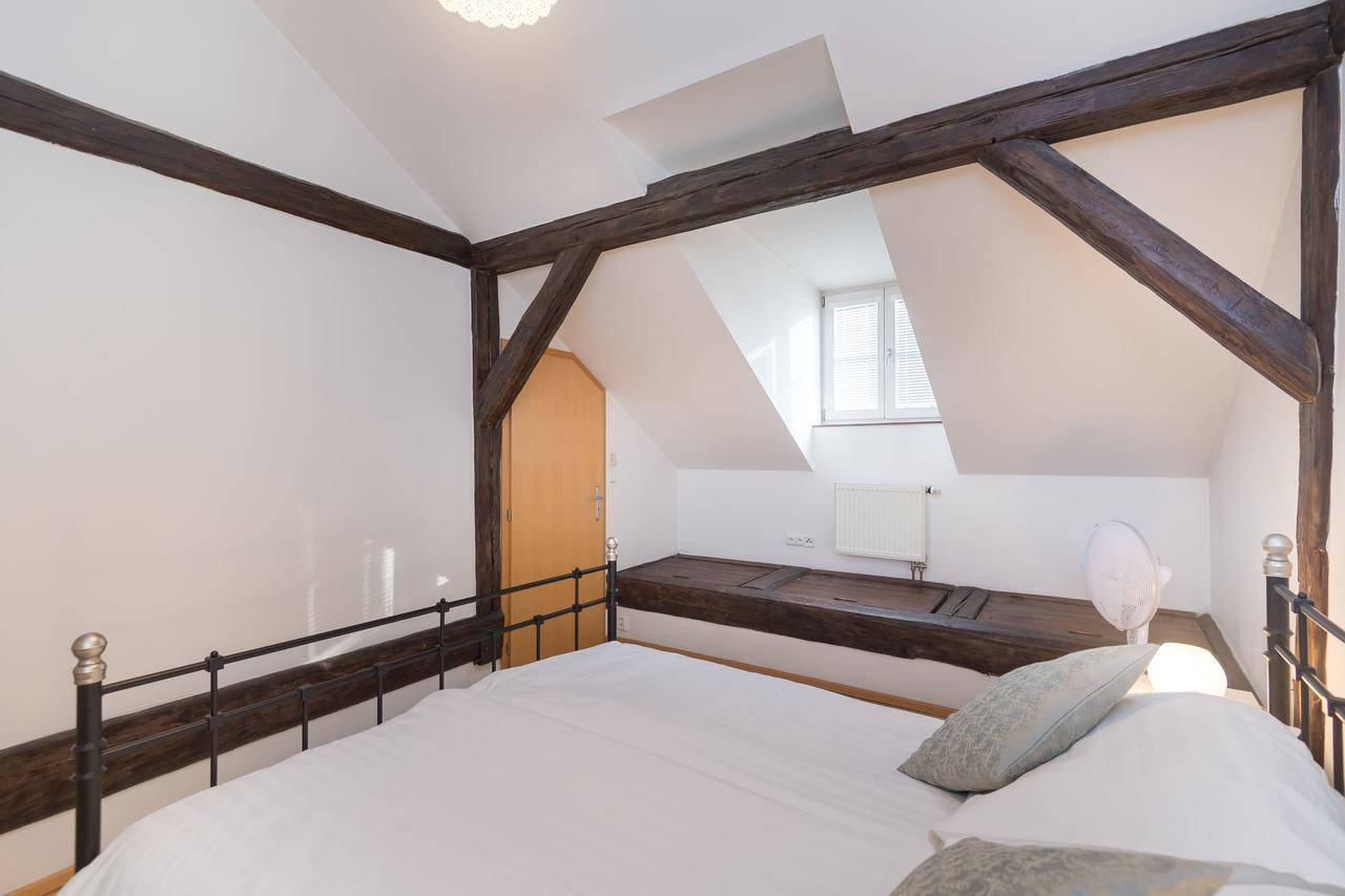Spacious In The Heart Of Praga