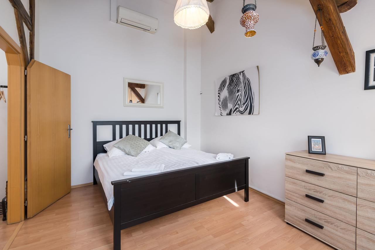 Spacious In The Heart Of Praga